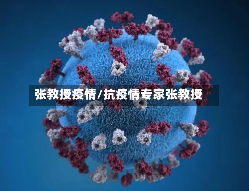 张教授疫情/抗疫情专家张教授