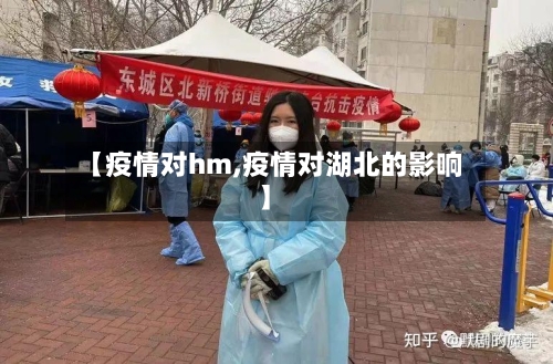 【疫情对hm,疫情对湖北的影响】