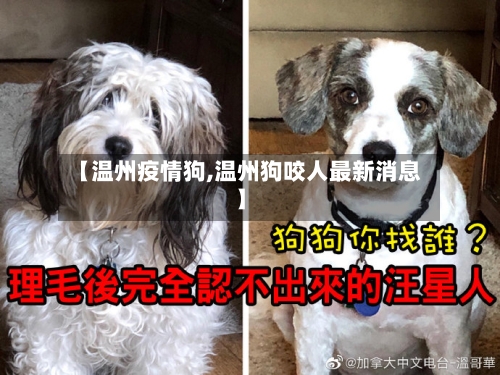 【温州疫情狗,温州狗咬人最新消息】