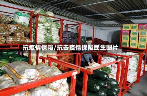 抗疫情保障/抗击疫情保障民生图片-第2张图片