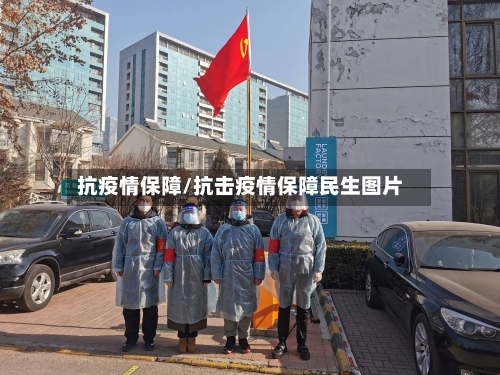 抗疫情保障/抗击疫情保障民生图片