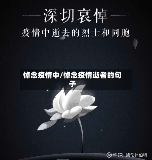 悼念疫情中/悼念疫情逝者的句子