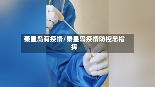 秦皇岛有疫情/秦皇岛疫情防控总指挥-第2张图片