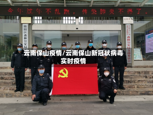云南保山疫情/云南保山新冠状病毒实时疫情