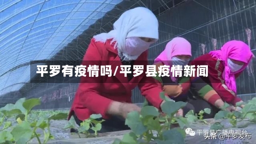 平罗有疫情吗/平罗县疫情新闻