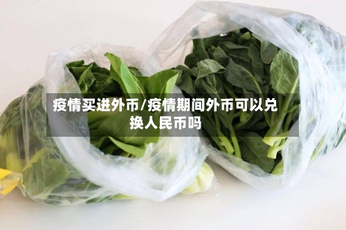 疫情买进外币/疫情期间外币可以兑换人民币吗-第3张图片