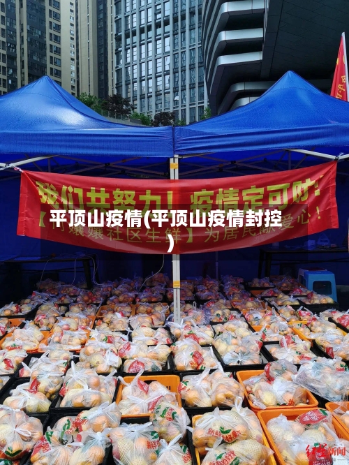 平顶山疫情(平顶山疫情封控)-第3张图片