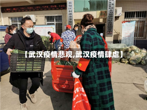 【武汉疫情悲观,武汉疫情肆虐】