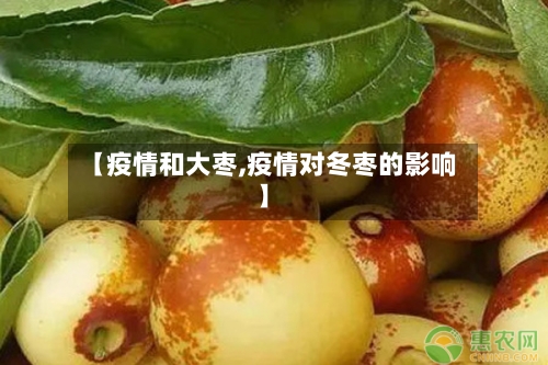 【疫情和大枣,疫情对冬枣的影响】