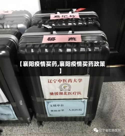 【襄阳疫情买药,襄阳疫情买药政策】-第2张图片