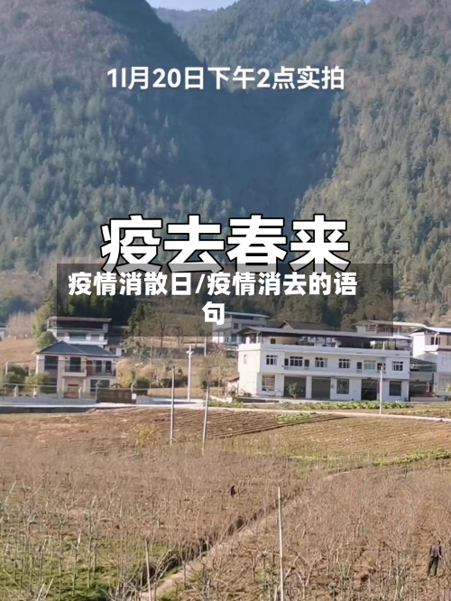疫情消散日/疫情消去的语句