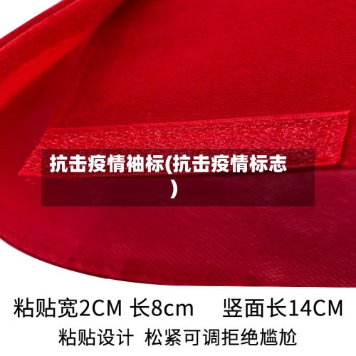 抗击疫情袖标(抗击疫情标志)-第2张图片