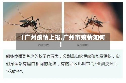 【广州疫情上报,广州市疫情如何】-第3张图片