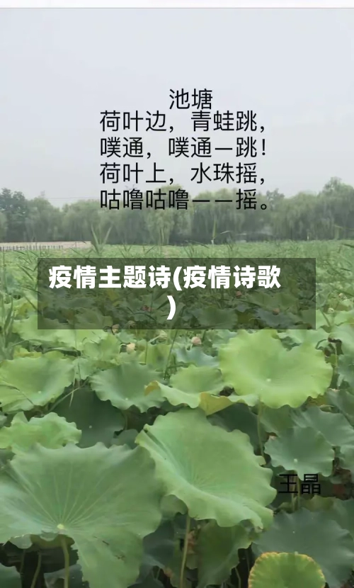 疫情主题诗(疫情诗歌)