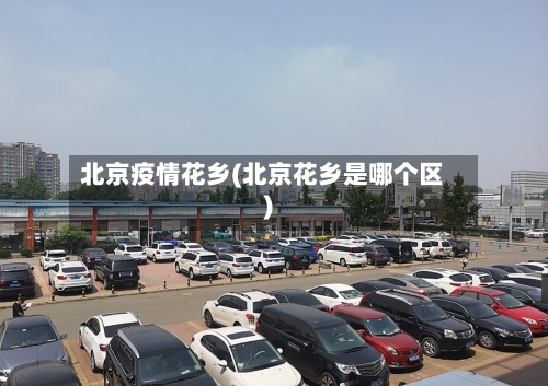 北京疫情花乡(北京花乡是哪个区)