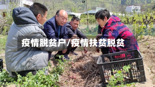 疫情脱贫户/疫情扶贫脱贫