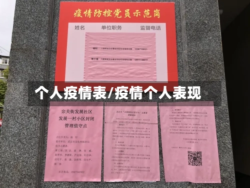 个人疫情表/疫情个人表现-第2张图片