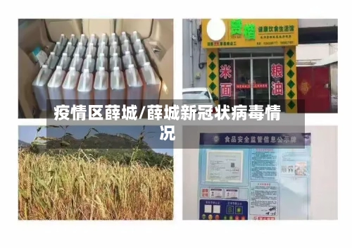 疫情区薛城/薛城新冠状病毒情况-第2张图片