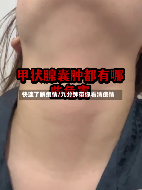 快速了解疫情/九分钟带你看清疫情-第2张图片