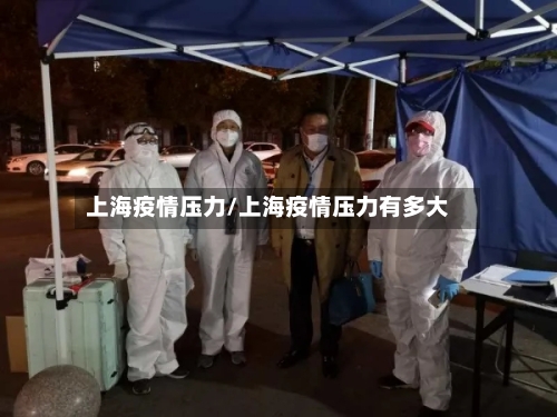 上海疫情压力/上海疫情压力有多大