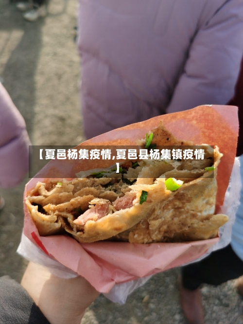 【夏邑杨集疫情,夏邑县杨集镇疫情】