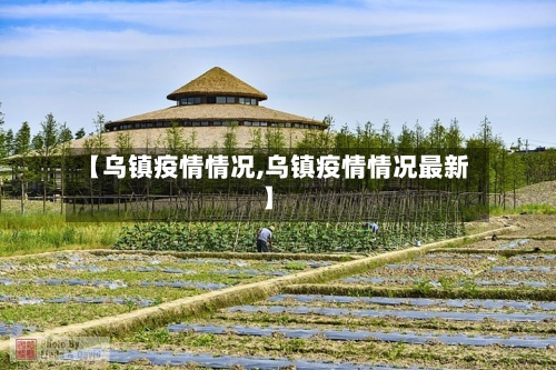 【乌镇疫情情况,乌镇疫情情况最新】-第2张图片