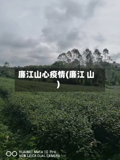 廉江山心疫情(廉江 山)-第3张图片