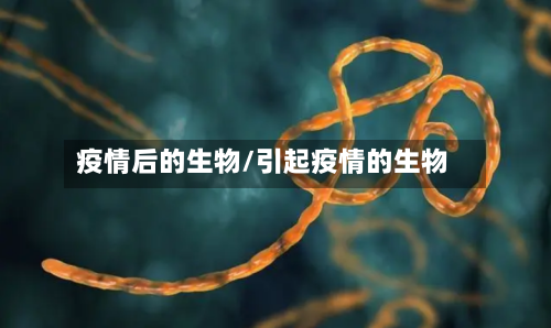 疫情后的生物/引起疫情的生物-第3张图片