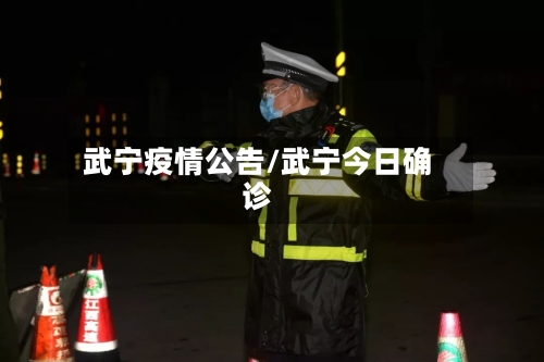 武宁疫情公告/武宁今日确诊-第2张图片