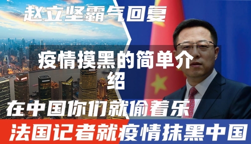 疫情摸黑的简单介绍