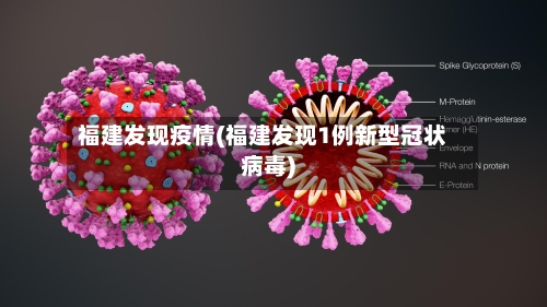 福建发现疫情(福建发现1例新型冠状病毒)-第2张图片