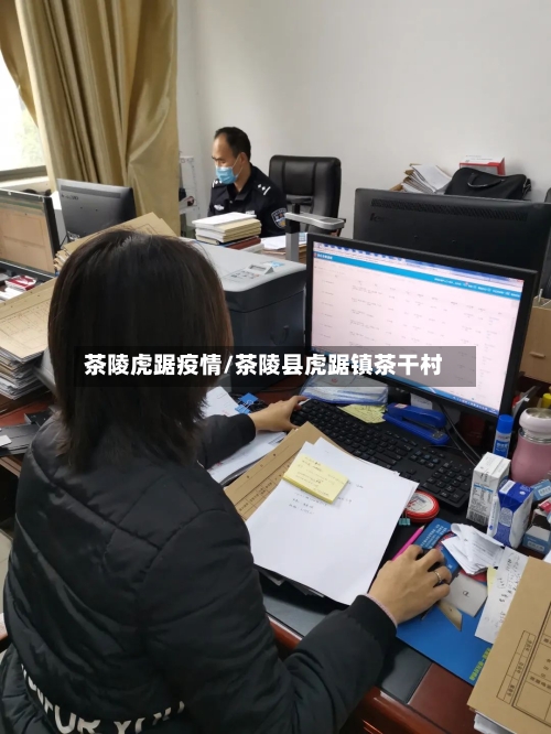 茶陵虎踞疫情/茶陵县虎踞镇茶干村-第2张图片