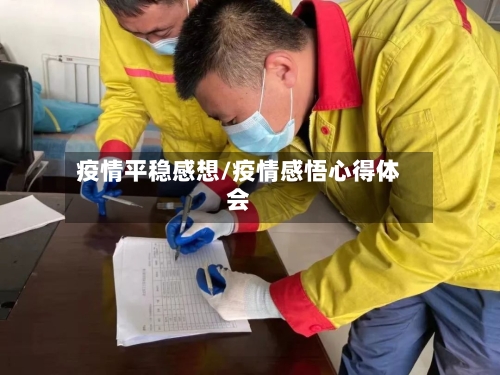 疫情平稳感想/疫情感悟心得体会