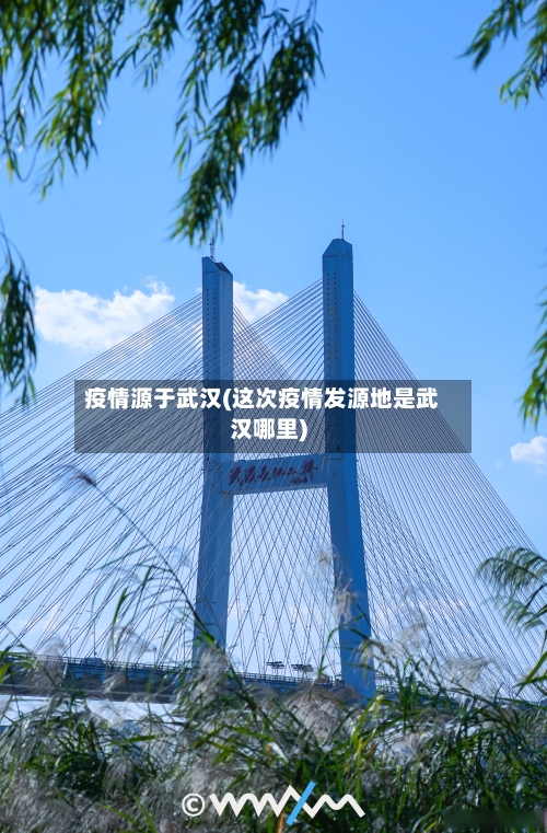 疫情源于武汉(这次疫情发源地是武汉哪里)