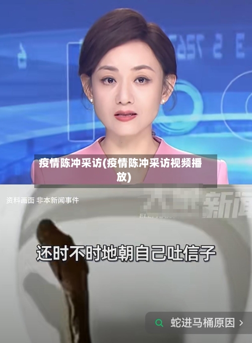 疫情陈冲采访(疫情陈冲采访视频播放)-第2张图片