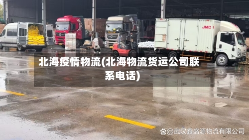 北海疫情物流(北海物流货运公司联系电话)