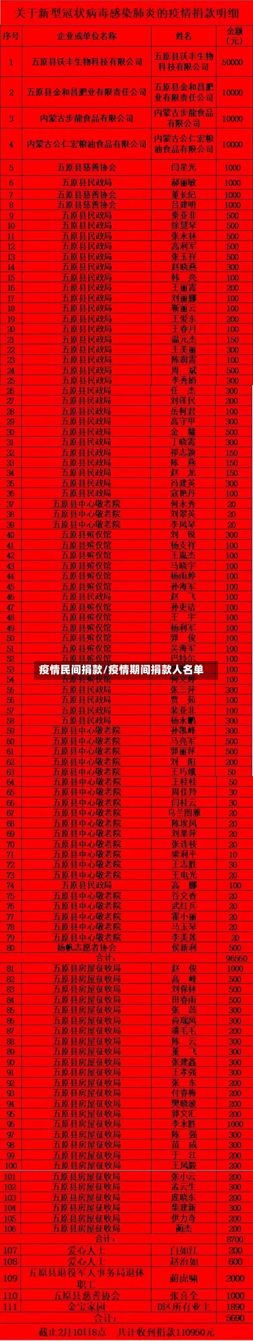 疫情民间捐款/疫情期间捐款人名单