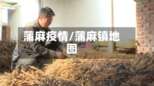 蒲麻疫情/蒲麻镇地图