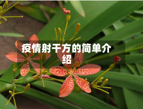 疫情射干方的简单介绍