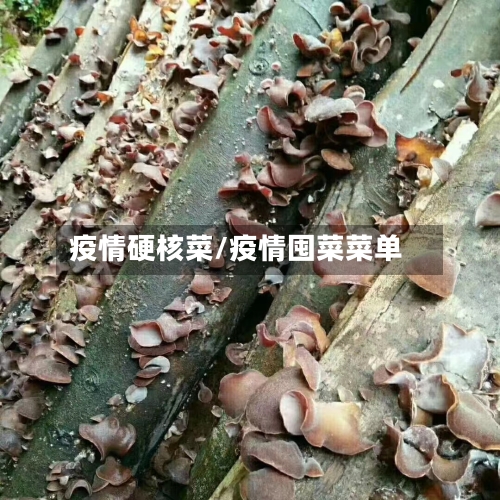 疫情硬核菜/疫情囤菜菜单