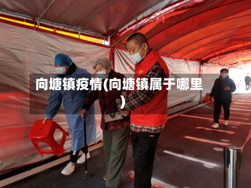 向塘镇疫情(向塘镇属于哪里)
