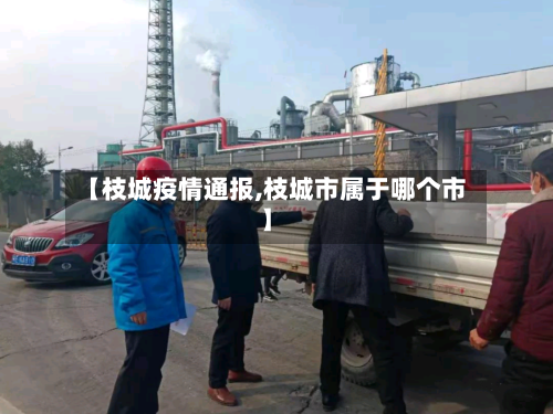 【枝城疫情通报,枝城市属于哪个市】