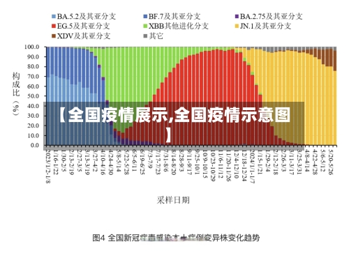 【全国疫情展示,全国疫情示意图】
