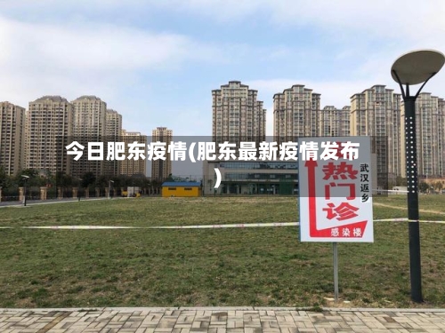 今日肥东疫情(肥东最新疫情发布)-第3张图片