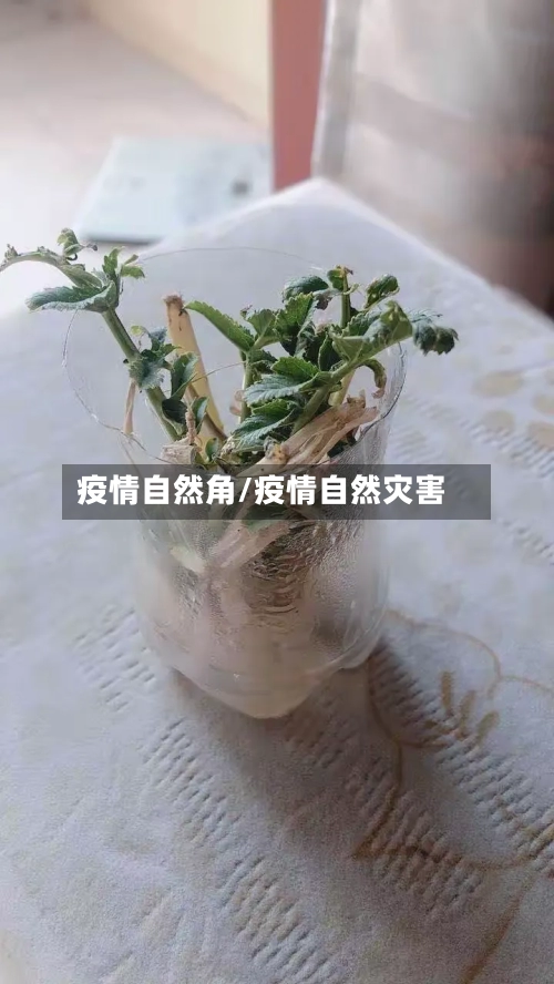 疫情自然角/疫情自然灾害