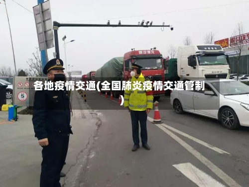各地疫情交通(全国肺炎疫情交通管制)-第2张图片