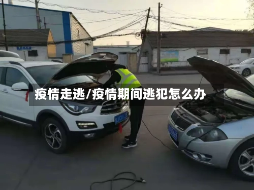 疫情走逃/疫情期间逃犯怎么办-第3张图片