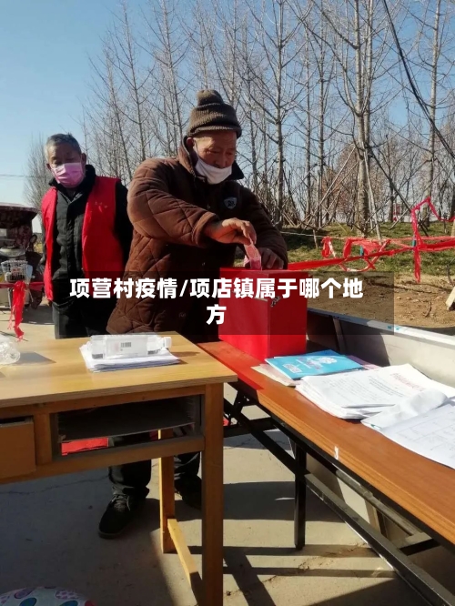 项营村疫情/项店镇属于哪个地方