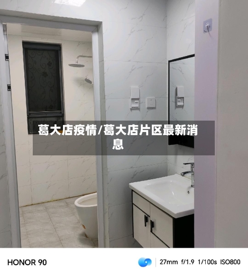 葛大店疫情/葛大店片区最新消息-第2张图片
