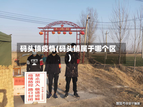 码头镇疫情(码头镇属于哪个区)